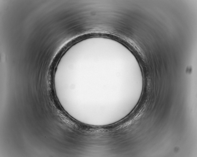 X0000099320926200805231421