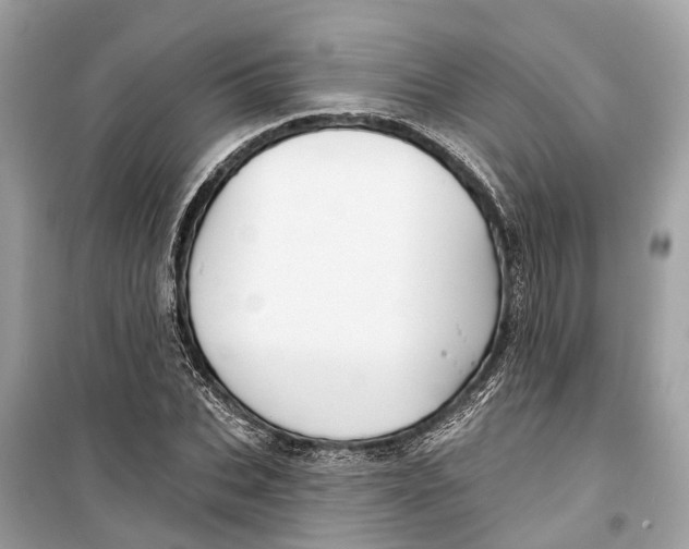 X0000099320927200805231421