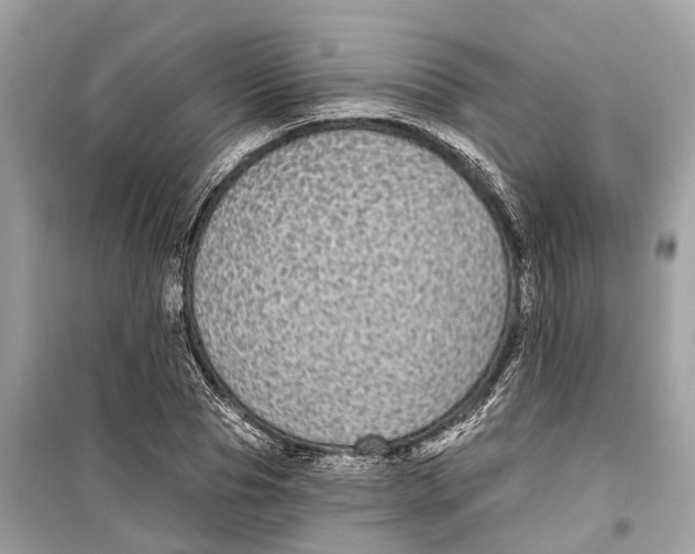 X0000099320929200805231422