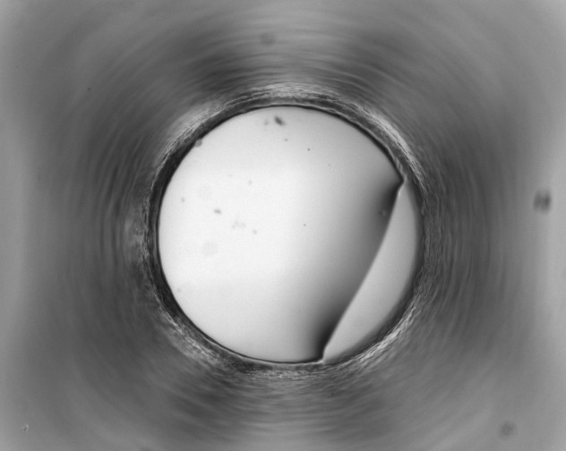 X0000099320930200805231422