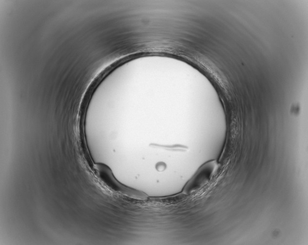 X0000099320932200805231422