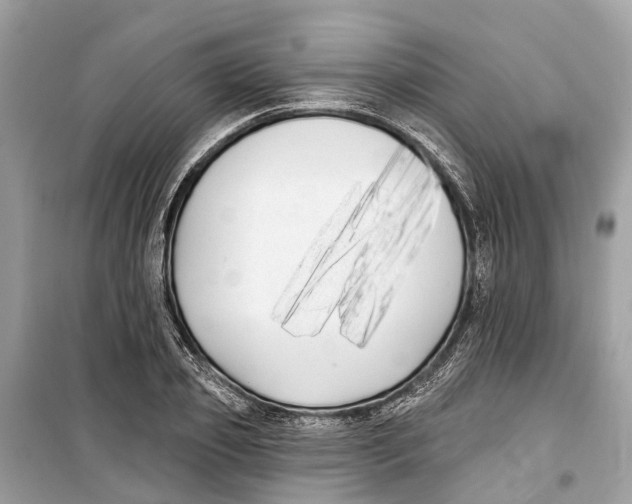 X0000099320933200805231422