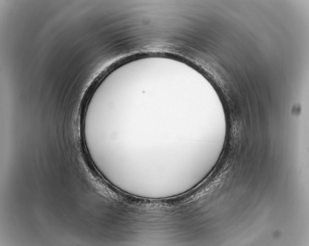 X0000099320934200805231422