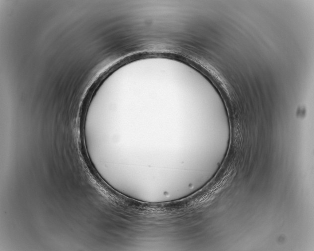 X0000099320935200805231422