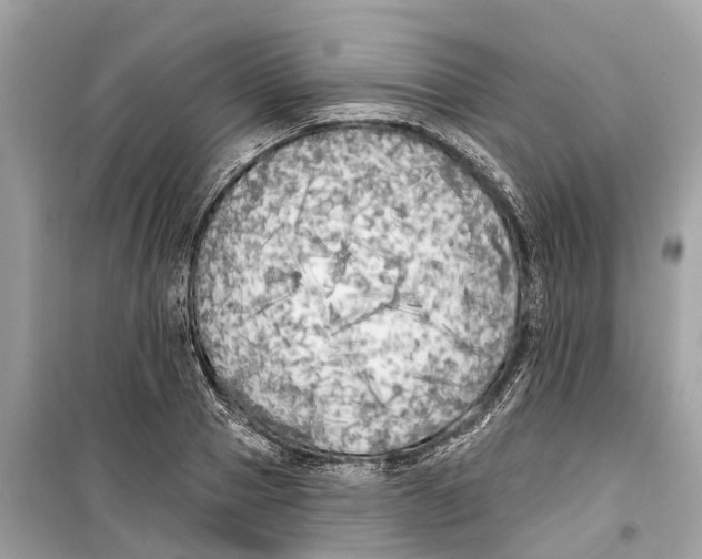 X0000099320937200805231422