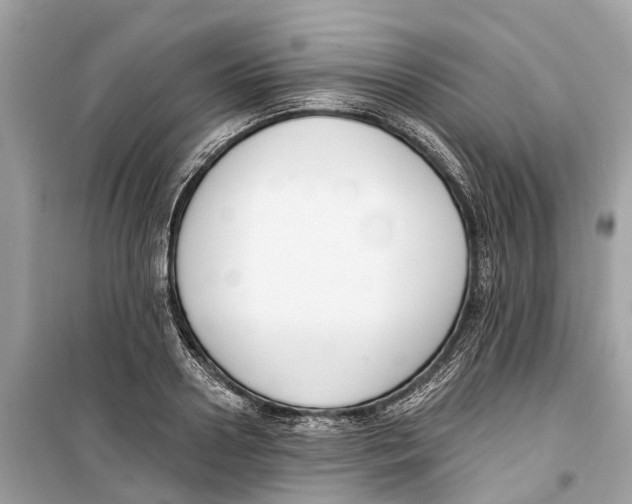 X0000099320938200805231422