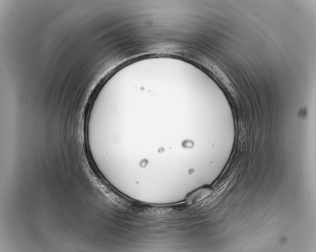 X0000099320939200805231422