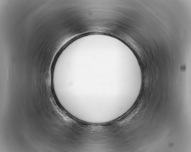 X0000099320940200805231422