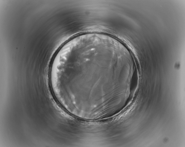 X0000099320941200805231422