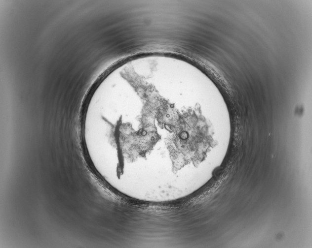 X0000099320942200805231422