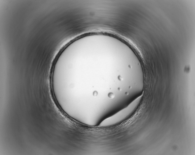 X0000099320943200805231422