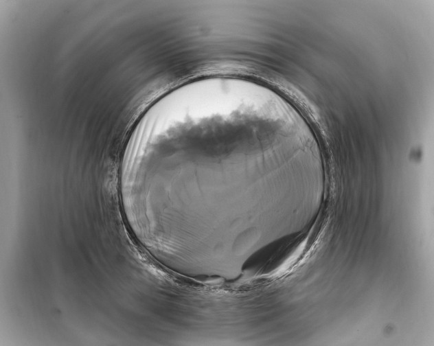 X0000099320945200805231422