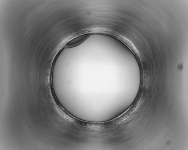 X0000099320946200805231422