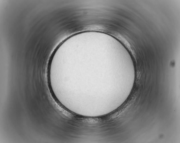 X0000099320947200805231422