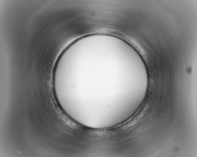 X0000099320948200805231422