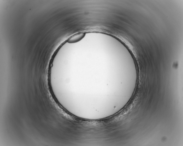 X0000099320949200805231422