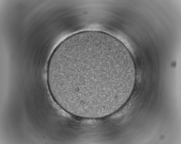 X0000099320950200805231422