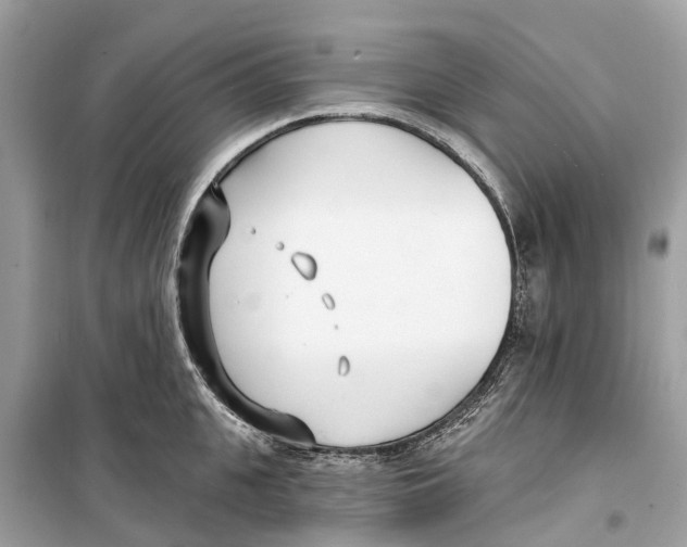 X0000099320951200805231422