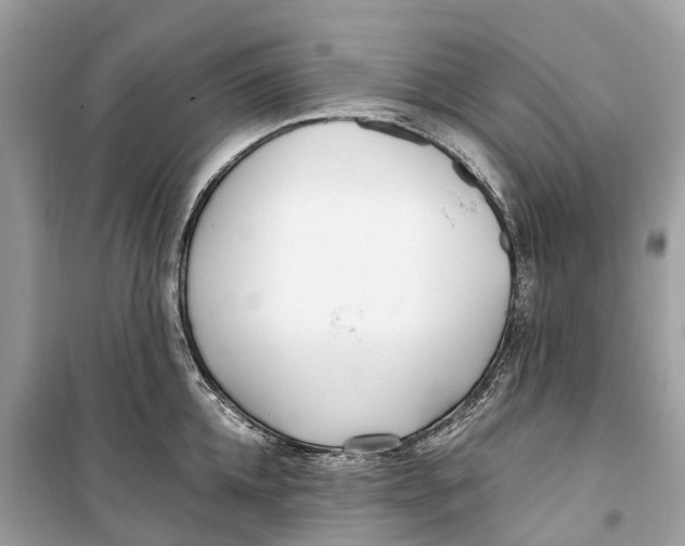 X0000099320952200805231422