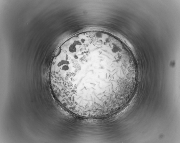 X0000099320953200805231422