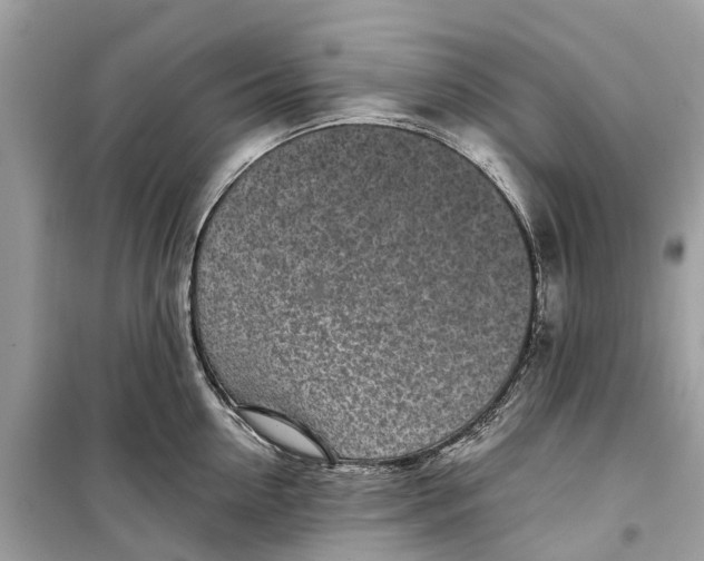 X0000099320954200805231422