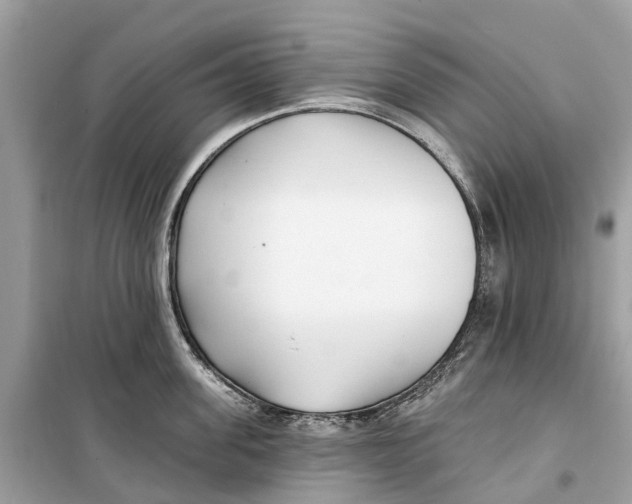 X0000099320955200805231422