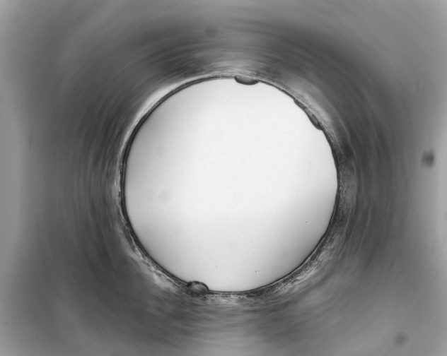 X0000099320956200805231422