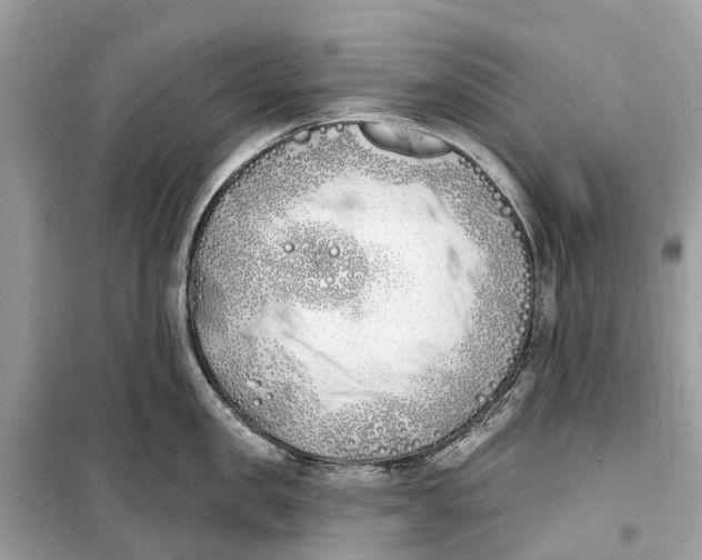 X0000099320957200805231422