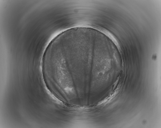 X0000099320958200805231422