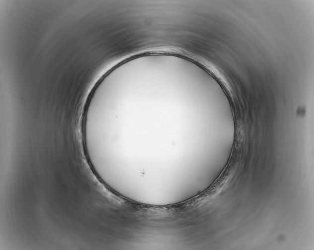 X0000099320959200805231422