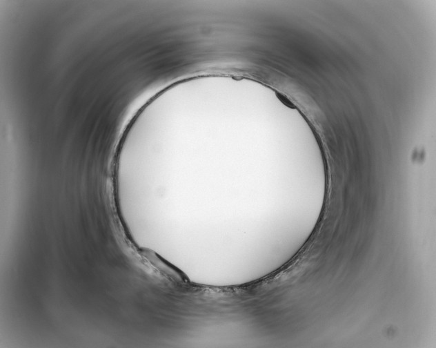 X0000099320960200805231422