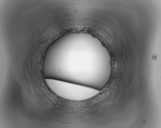 X0000099320961200805231421