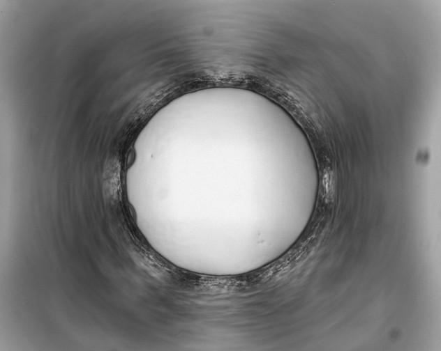 X0000099320963200805231421