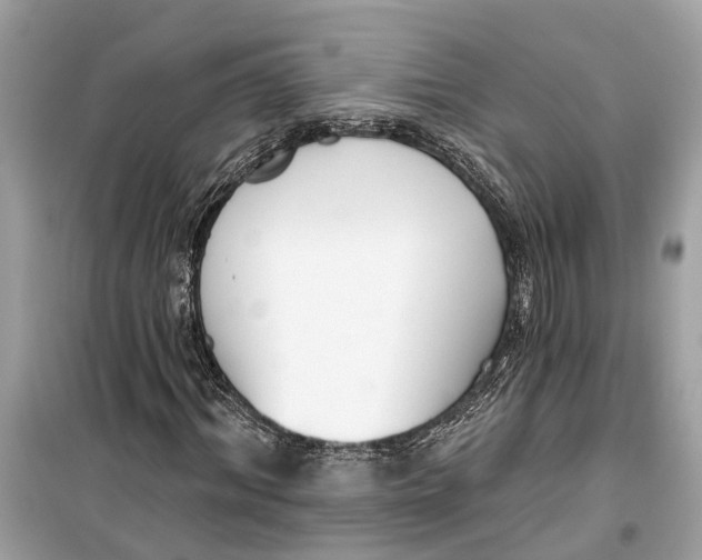 X0000099320964200805231421