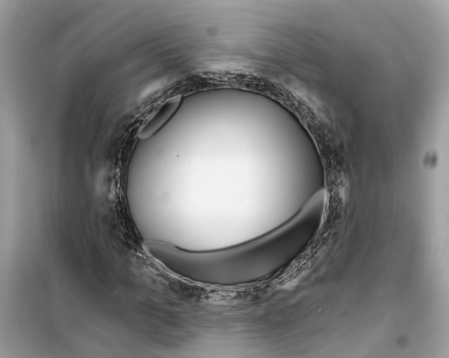 X0000099320965200805231421