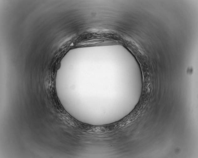 X0000099320966200805231421