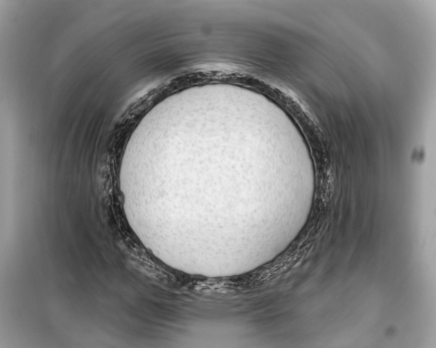 X0000099320967200805231421