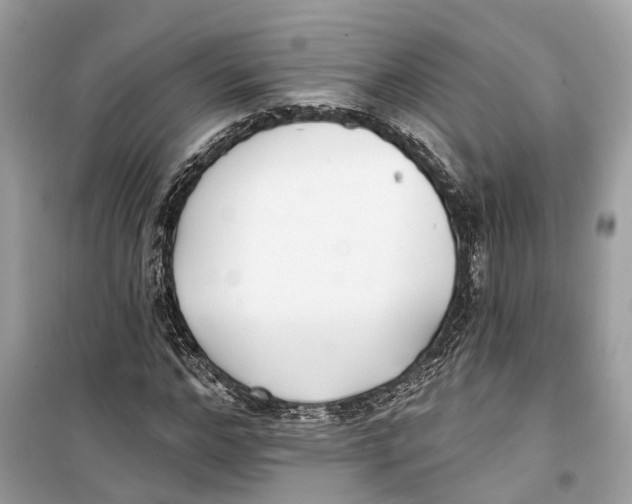 X0000099320968200805231421