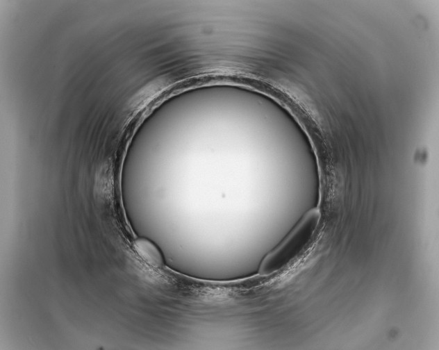 X0000099320969200805231421