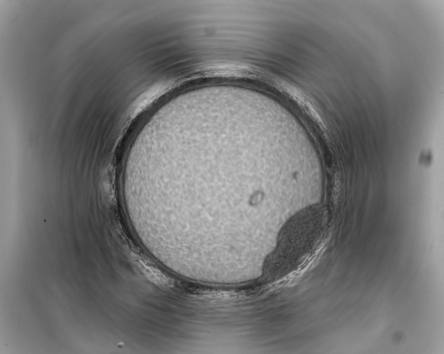 X0000099320970200805231421