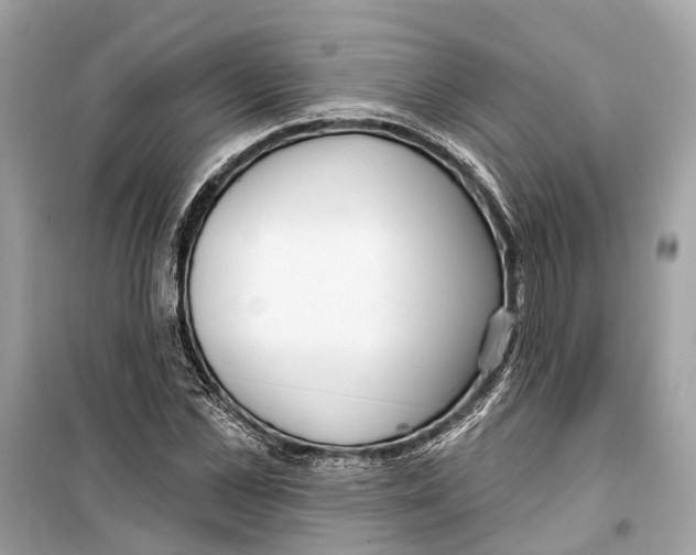 X0000099320973200805231421