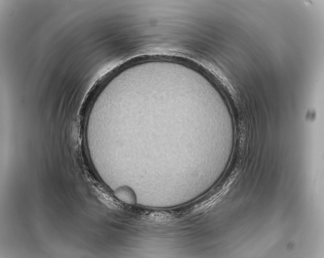 X0000099320974200805231421