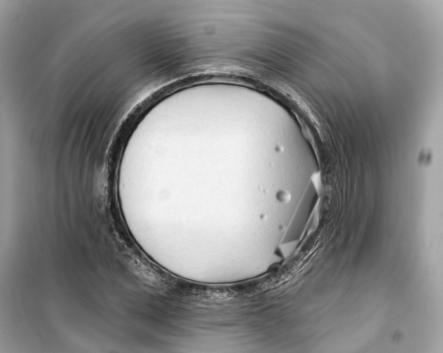 X0000099320975200805231421