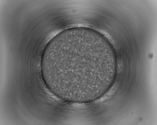 X0000099320977200805231421