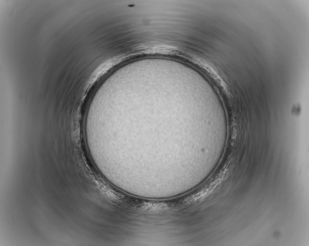 X0000099320978200805231421