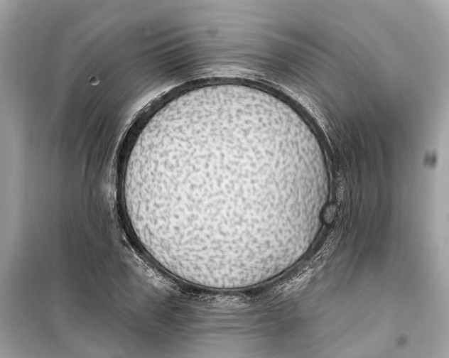 X0000099320979200805231421