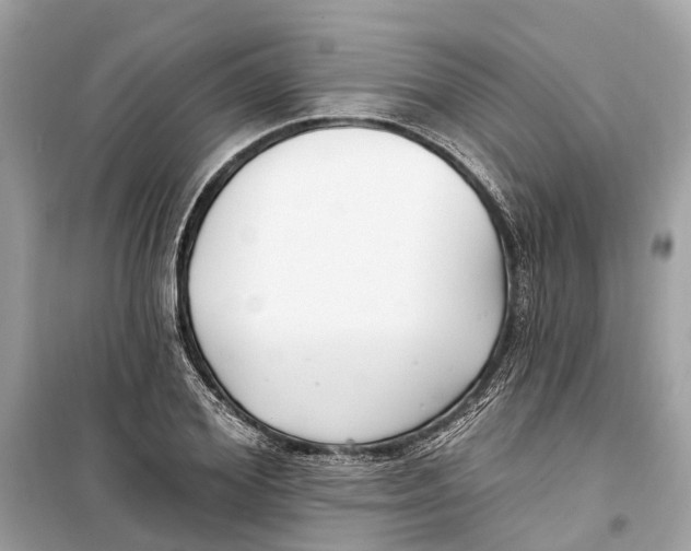 X0000099320980200805231421