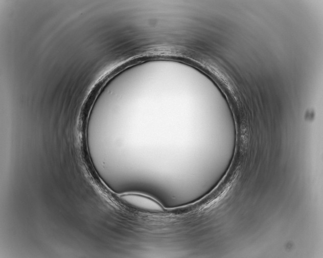 X0000099320981200805231421