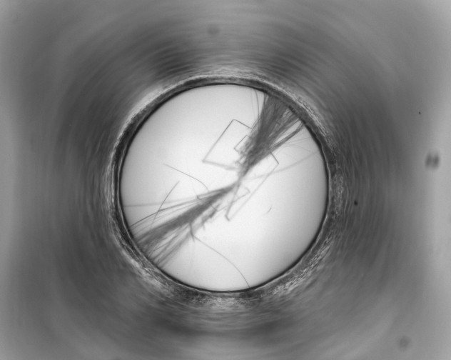 X0000099320982200805231421