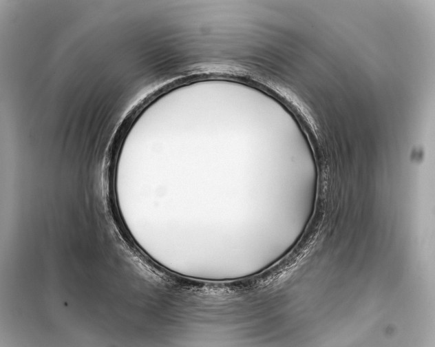 X0000099320983200805231421